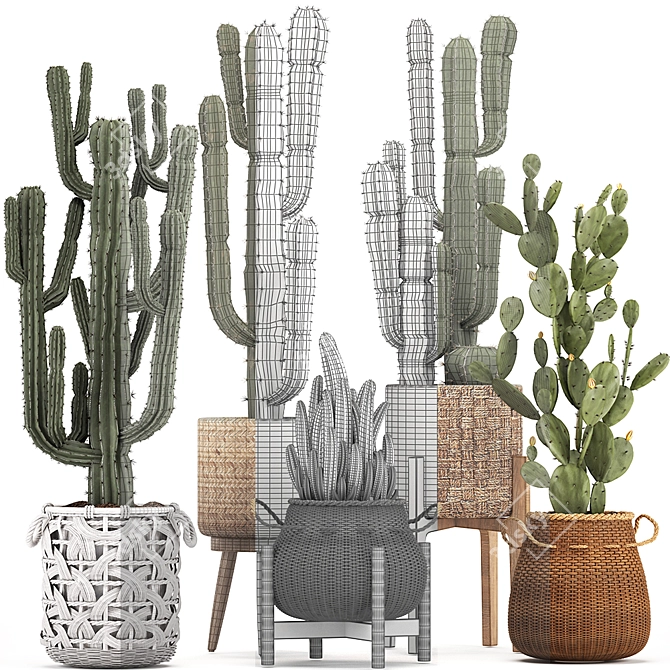 Exotic Houseplant Collection: Cacti & Prickly Pear 3D model image 3