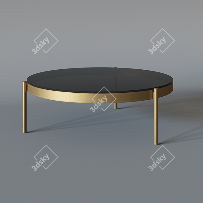 Elegant Selva Coffee Table 3D model image 1