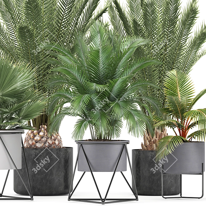 Exotic Indoor Plant Collection 3D model image 2