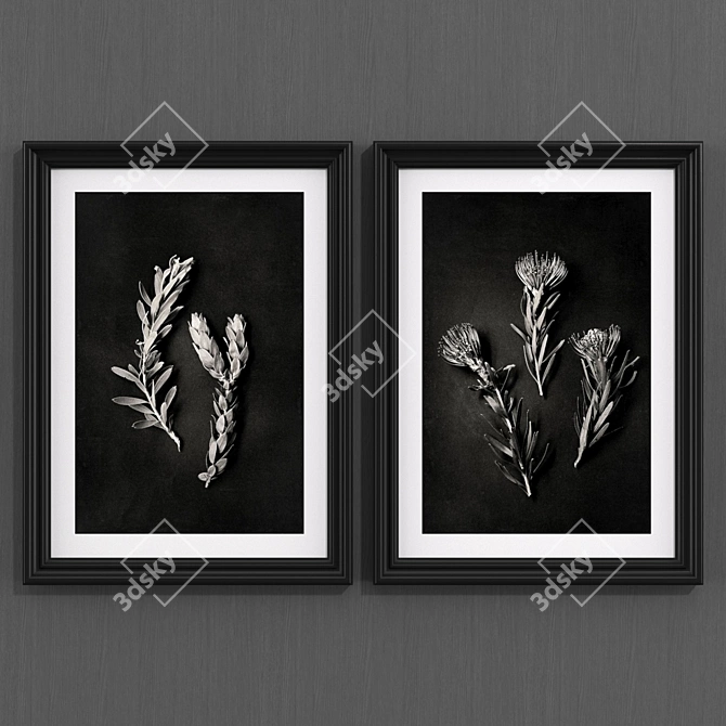 Modern Protea Black Art 3D model image 1