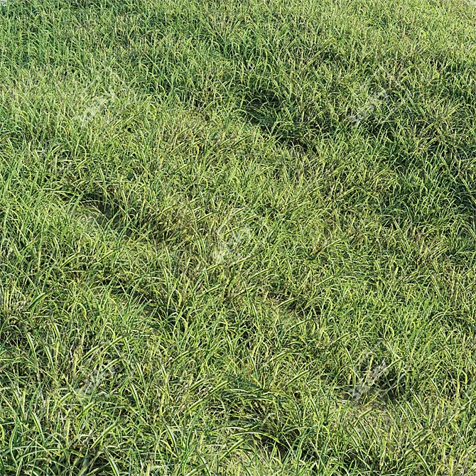 Lush Green Grass Mat 3D model image 1