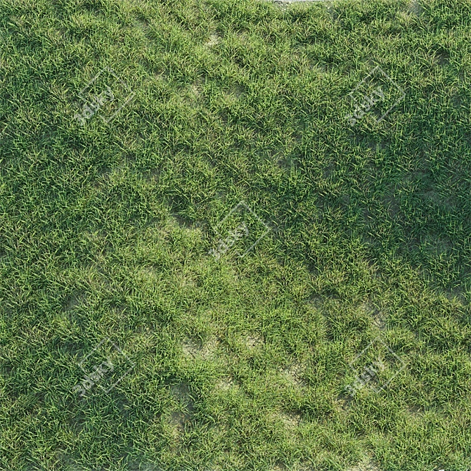 Lush Green Grass Mat 3D model image 2