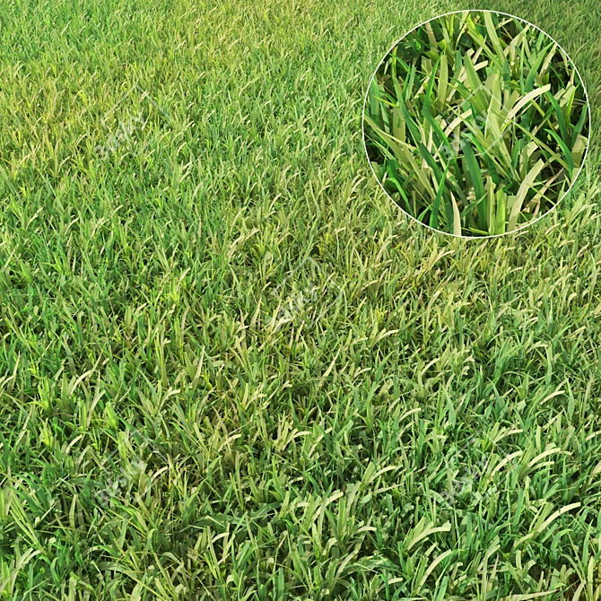 Lush Translucent Grass 3D model image 1