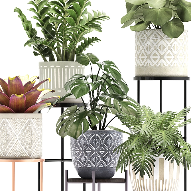 Exotic Houseplant Collection: Bromelia, Monstera, Zamioculcas 3D model image 2