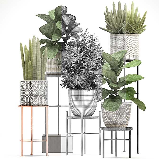 Exotic Houseplant Collection 3D model image 3