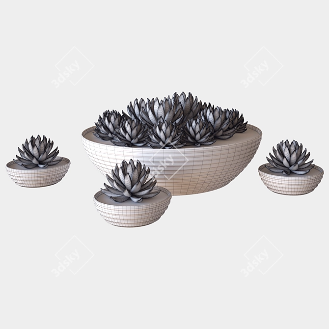 Succulent Glass Pot: 3D Render 3D model image 2