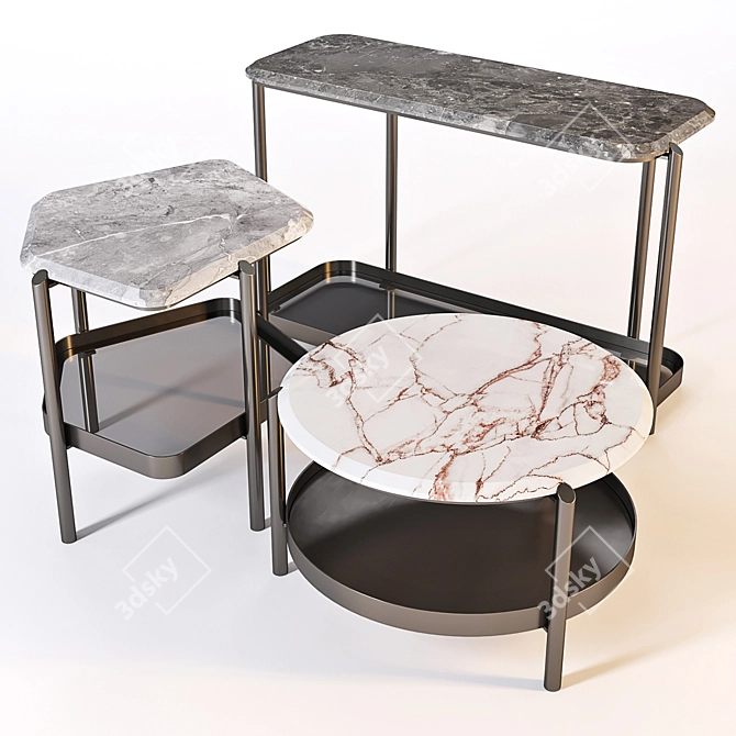 Giorgetti Skyline Coffee Table Set 3D model image 1