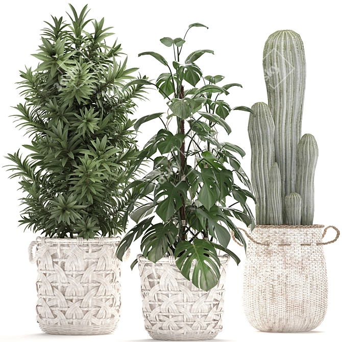 Exotic Houseplant Collection 3D model image 1