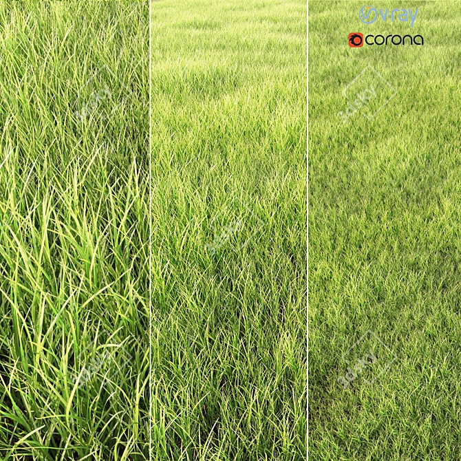 Lush Green Arch Grass: High-quality, Realistic Exterior Rendering Solution 3D model image 1