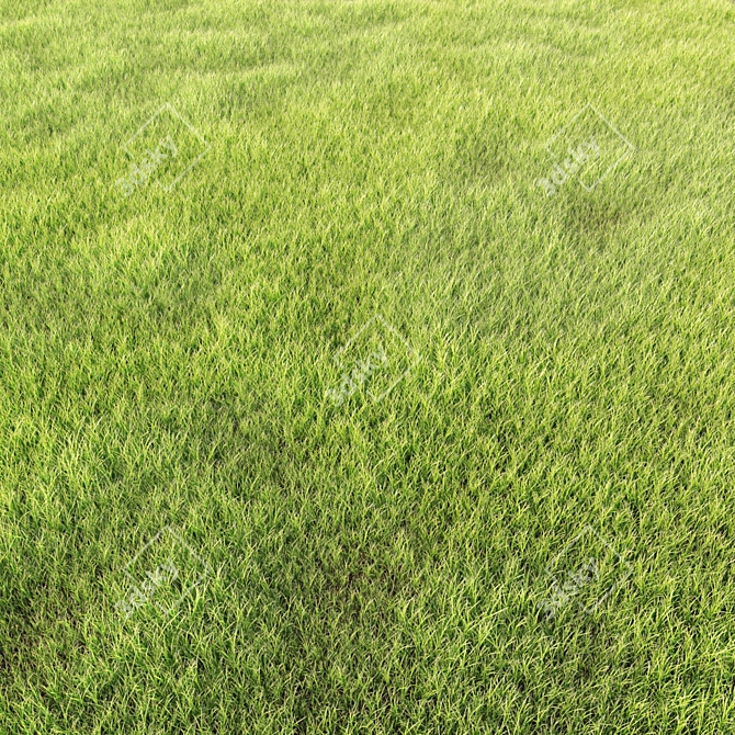 Lush Green Arch Grass: High-quality, Realistic Exterior Rendering Solution 3D model image 3