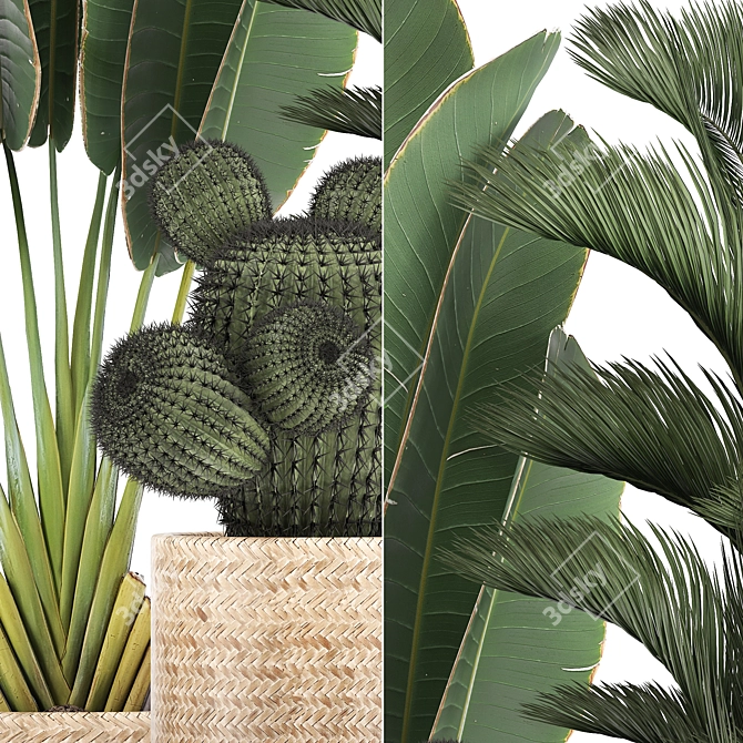 Exotic Plant Collection: Cacti, Palm & Grass 3D model image 2