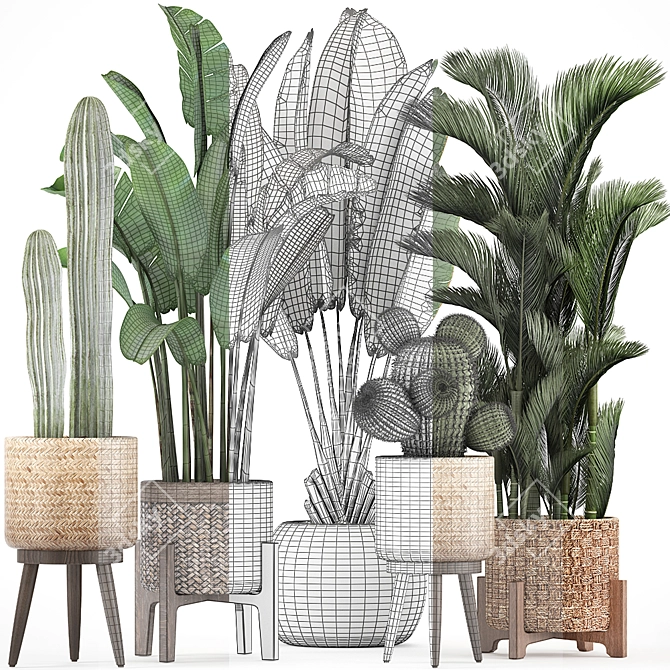 Exotic Plant Collection: Cacti, Palm & Grass 3D model image 3