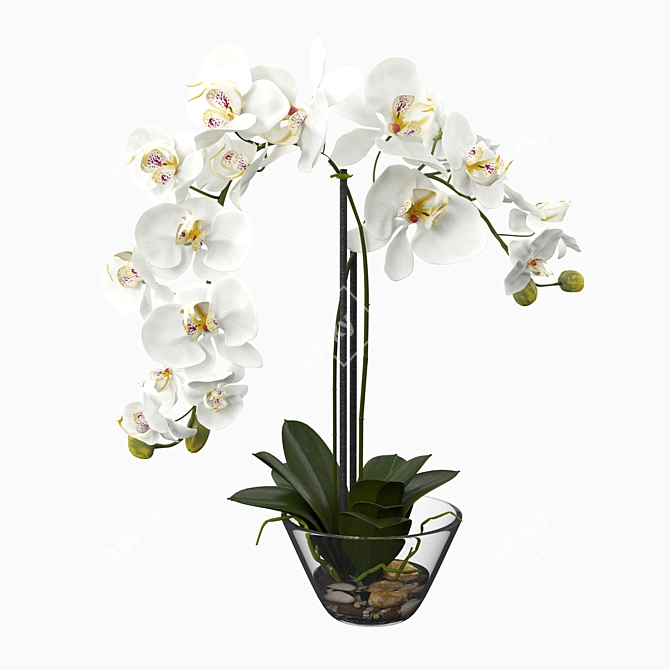 Elegant Silk White Orchid 3D model image 2