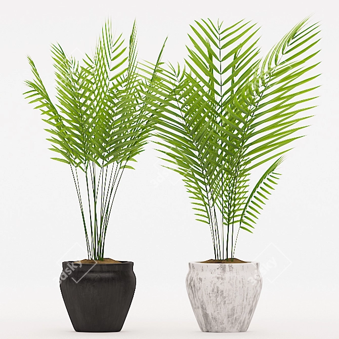 Title: Modern Palm Plant in Concrete Pot 3D model image 2