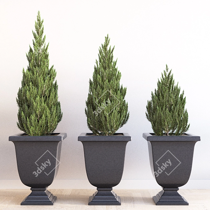 Elegant Augusta Planter Set 3D model image 1