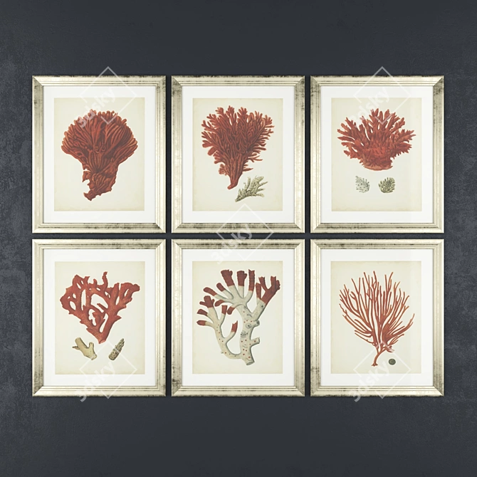 Vintage Coral Prints by Eichholtz 3D model image 1