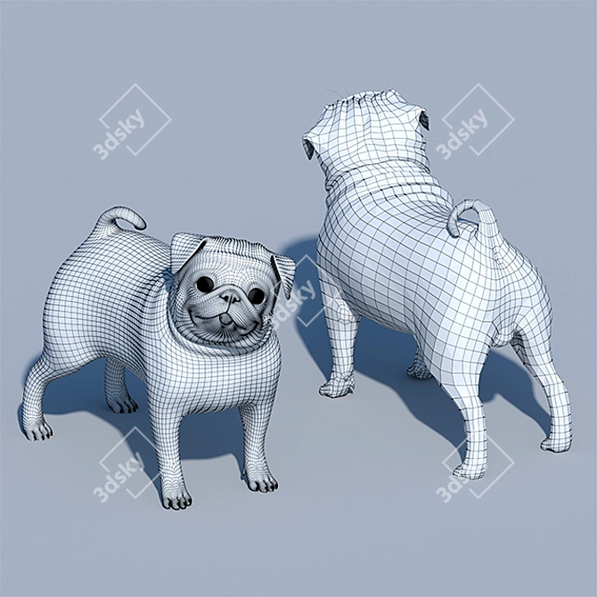 Furry Pug Model 3D model image 2