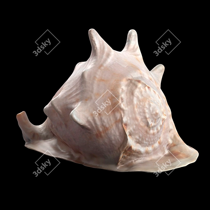 Modern Seashell Sculpture 3D model image 1