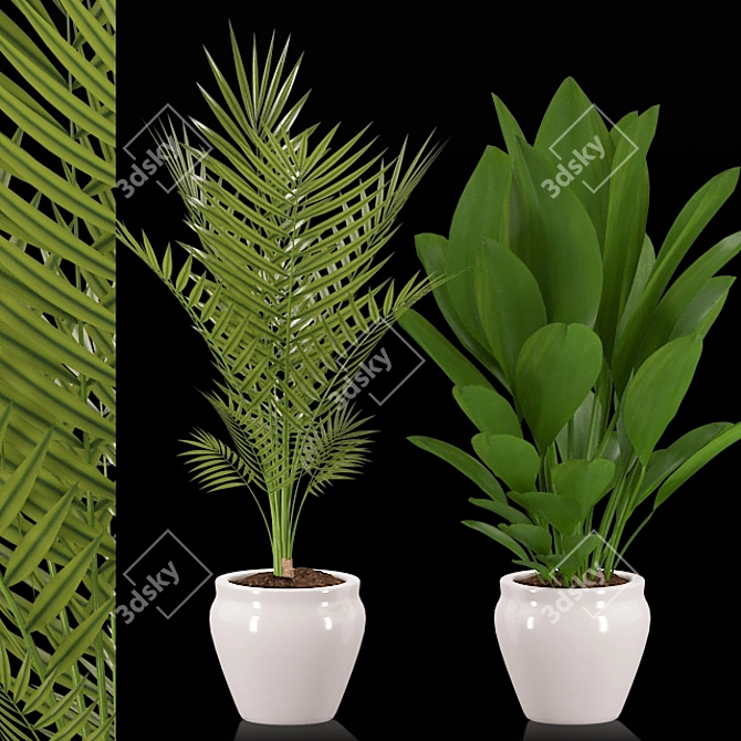 Elegant Greenery for Your Space 3D model image 1