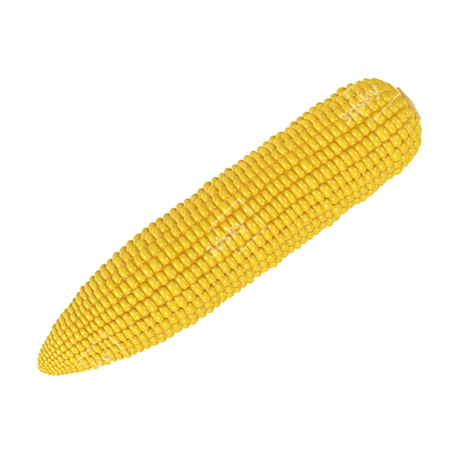 Premium Corn Textures - 4k PBR 3D model image 1