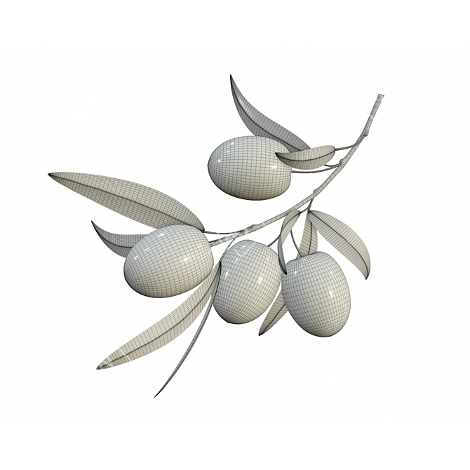 Graceful Olive Branch: PBR Textures 3D model image 2