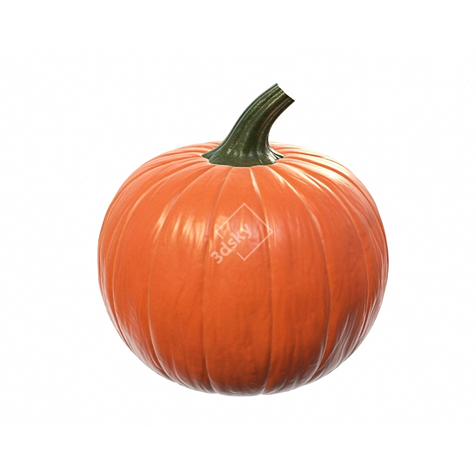 PBR Pumpkin 4k Texture 3D model image 1