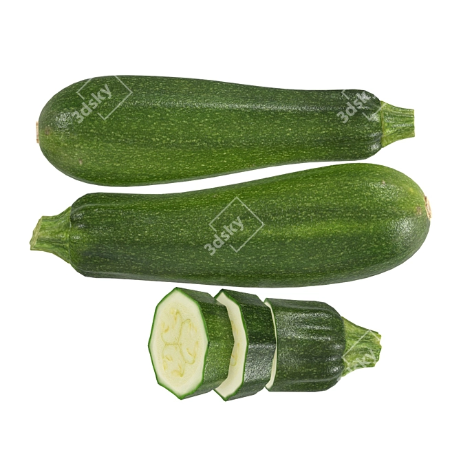 4k PBR Zucchini with V-Ray Conversion 3D model image 2