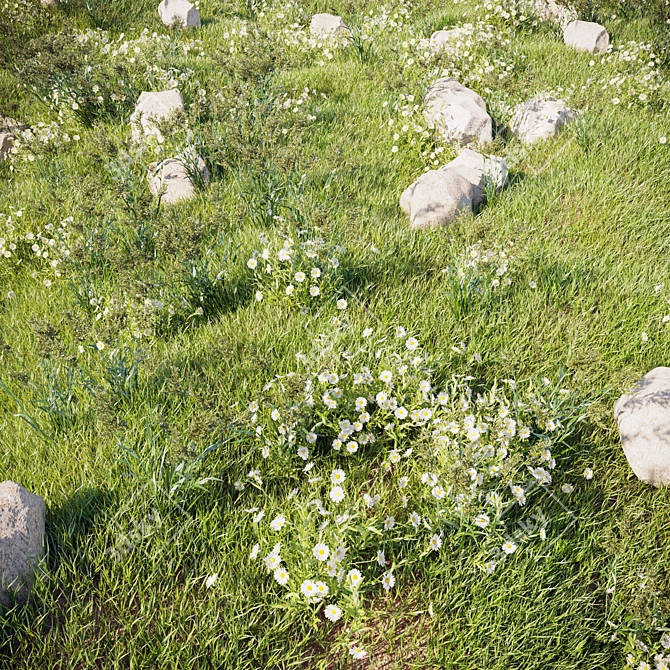 LushLandscaping Set02: Realistic Translucent Grass 3D model image 1