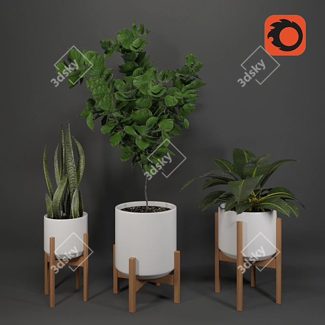 Tropical Oasis Collection - Set of 4 Indoor Plants 3D model image 1