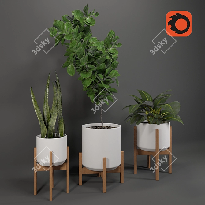 Tropical Oasis Collection - Set of 4 Indoor Plants 3D model image 2