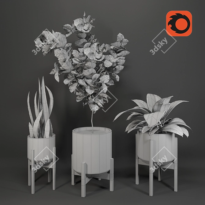 Tropical Oasis Collection - Set of 4 Indoor Plants 3D model image 3