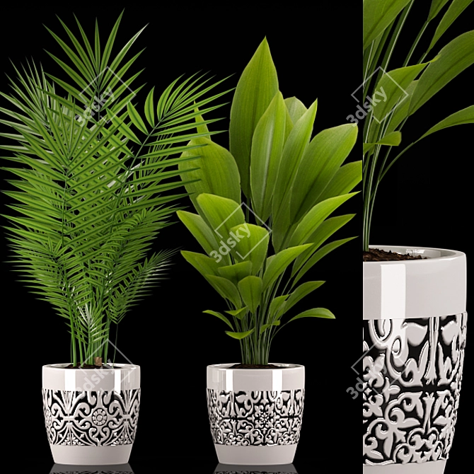 Tropical Greenery: Palm & Aspidistra Plant 3D model image 1