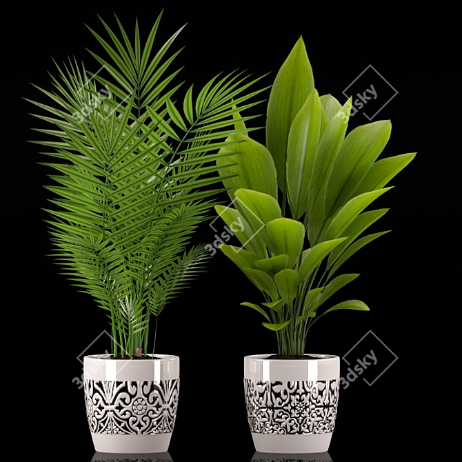 Tropical Greenery: Palm & Aspidistra Plant 3D model image 2