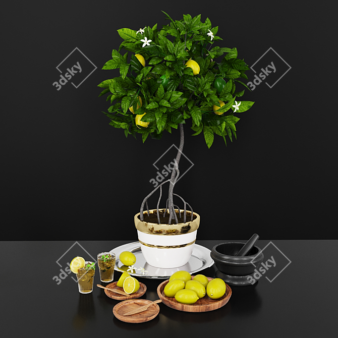 Luxury Lemon Tree: Decorative Set 3D model image 1