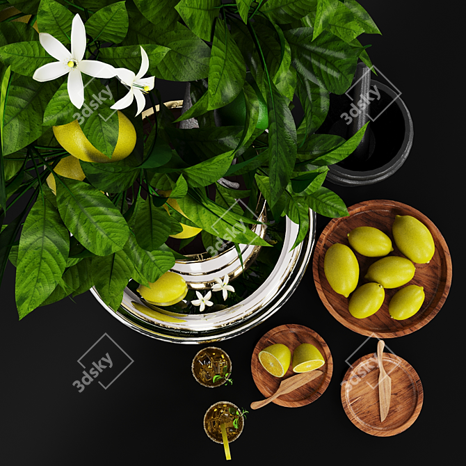 Luxury Lemon Tree: Decorative Set 3D model image 2