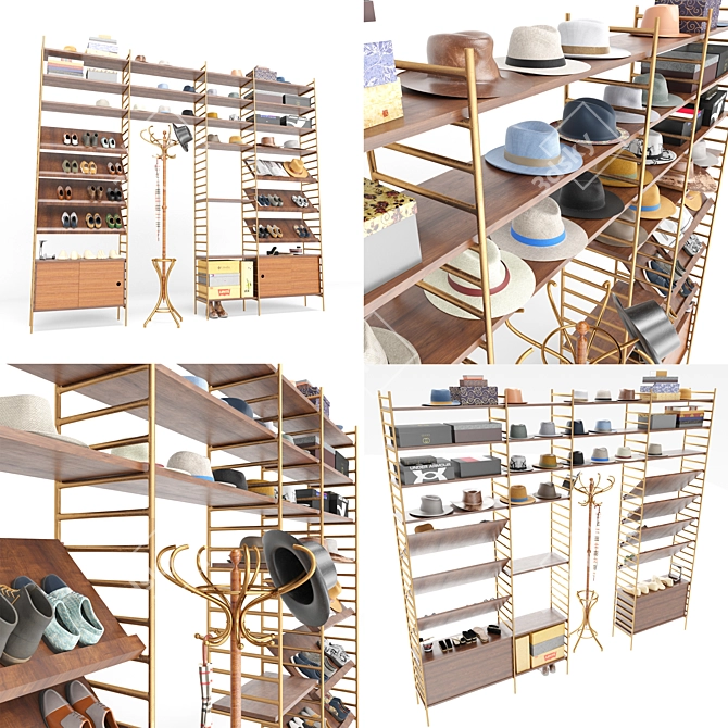 Hall Tree Shoe Storage Solution 3D model image 3