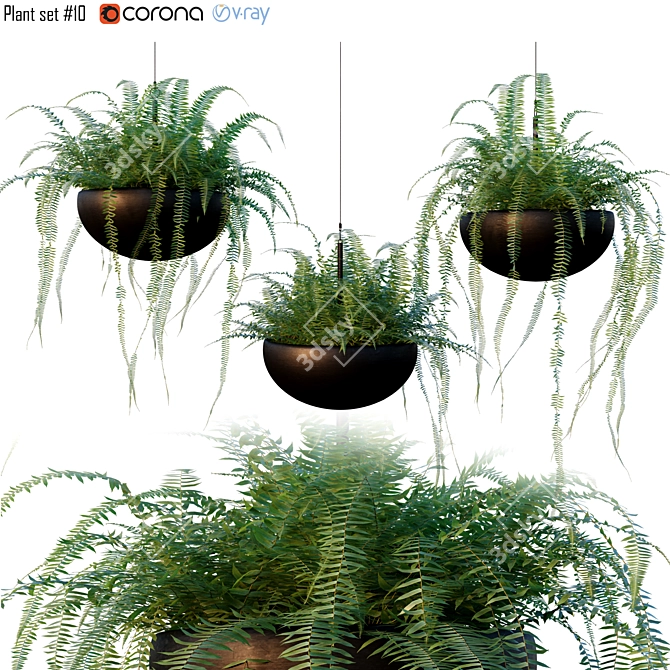 Versatile Plant Set for Interior and Exterior Design 3D model image 1