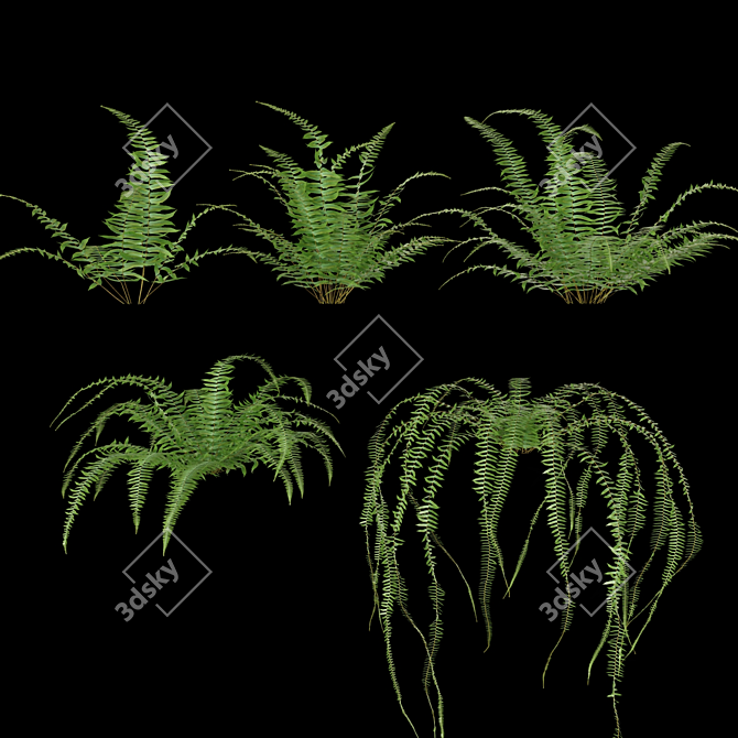 Versatile Plant Set for Interior and Exterior Design 3D model image 2