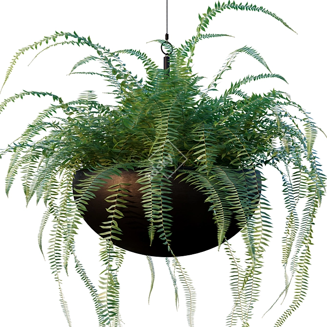 Versatile Plant Set for Interior and Exterior Design 3D model image 3