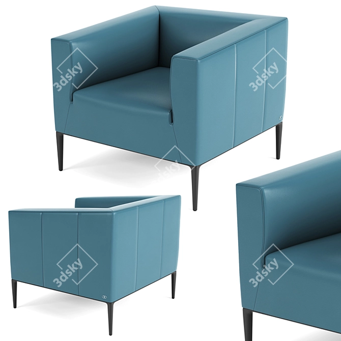 De Sede Armchair: Sleek & Stylish Seating 3D model image 1