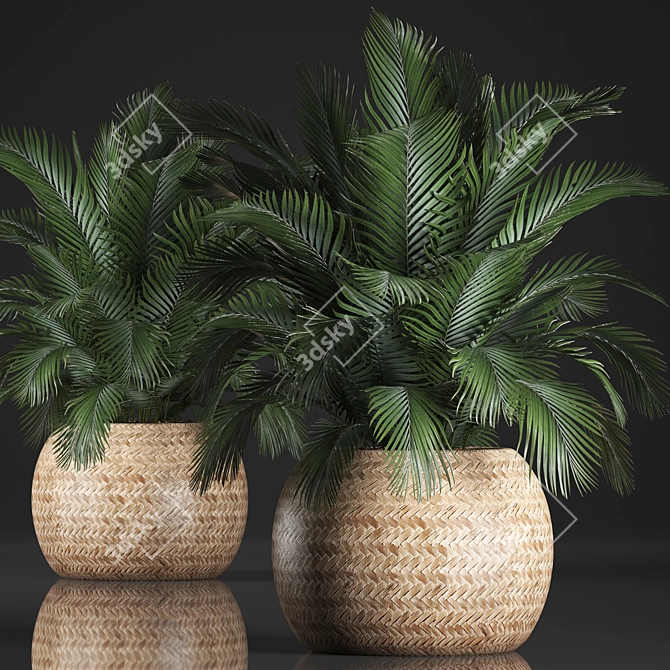 Exotic Indoor Plant Collection 3D model image 1