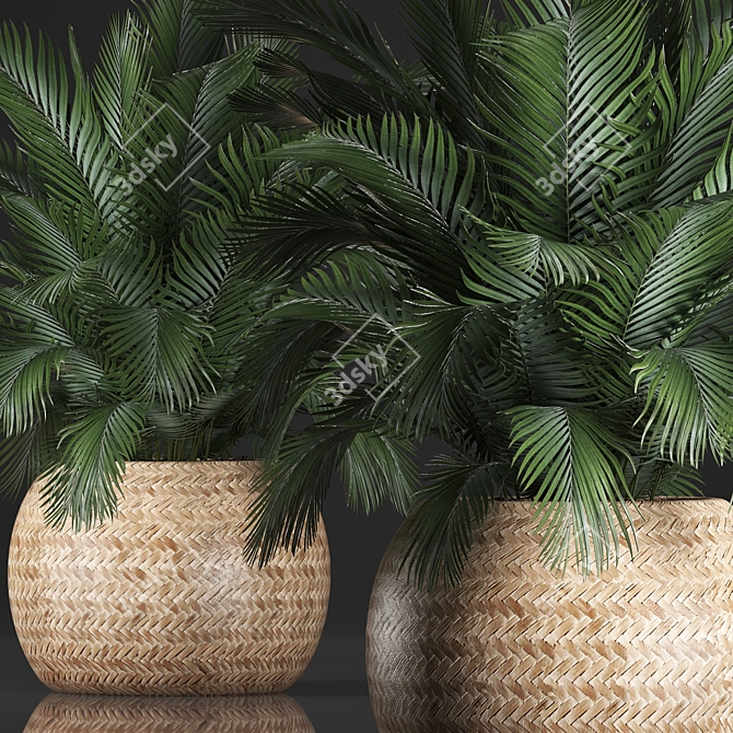 Exotic Indoor Plant Collection 3D model image 2