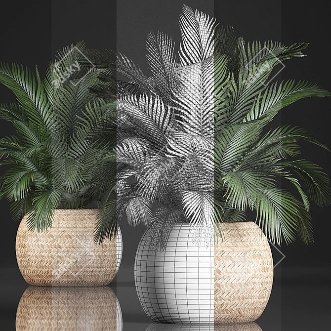 Exotic Indoor Plant Collection 3D model image 3