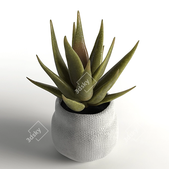 Realistic Faux Aloe Plant in Pot 3D model image 1