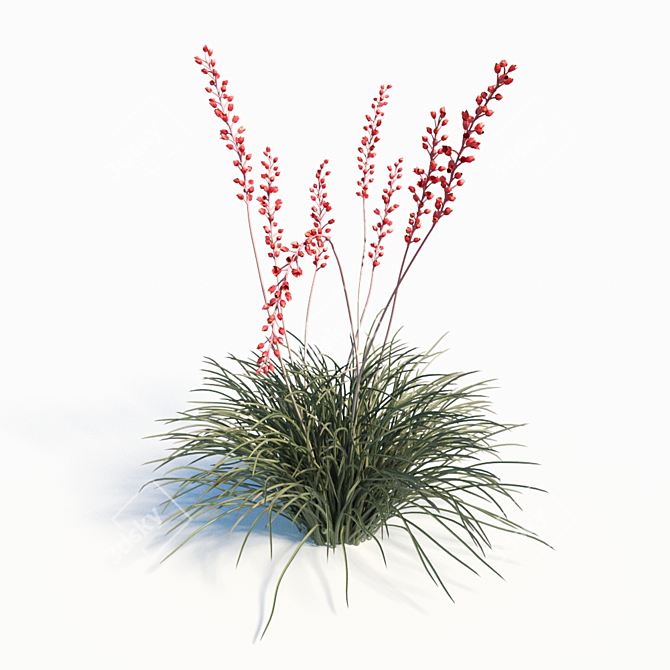 Red Yucca (Hesperaloe Parviflora) Set 3D model image 2