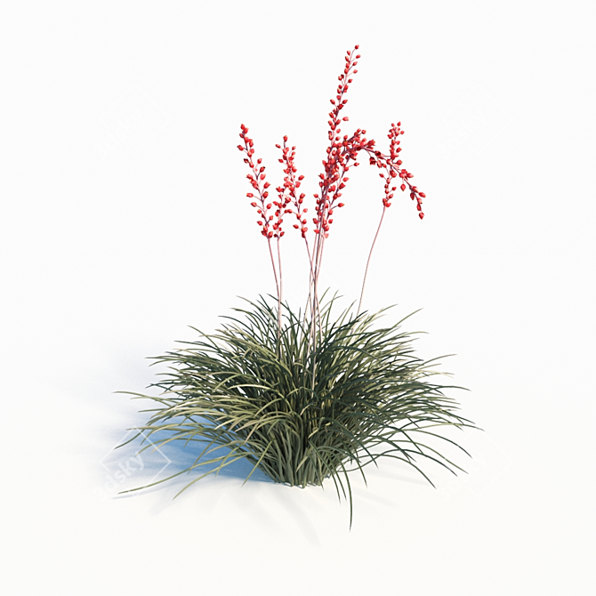 Red Yucca (Hesperaloe Parviflora) Set 3D model image 3