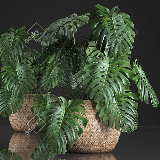 Tropical Monstera Plant in Rattan Basket 3D model image 1