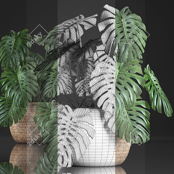 Tropical Monstera Plant in Rattan Basket 3D model image 3