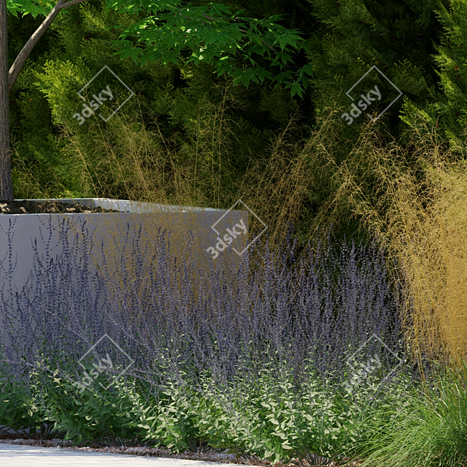 Title: Perovska Swan-Leaved Little Spire | Perovskia Atriplicifolia 3D model image 3