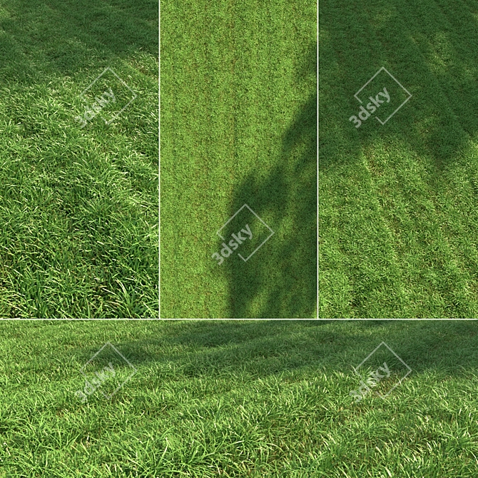 Lush Green Lawn: 3D Grass Model 3D model image 1